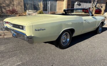 Chevrolet-Chevelle-1966-33