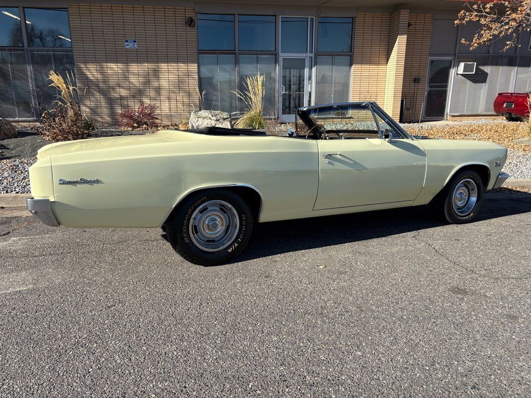 Chevrolet-Chevelle-1966-35