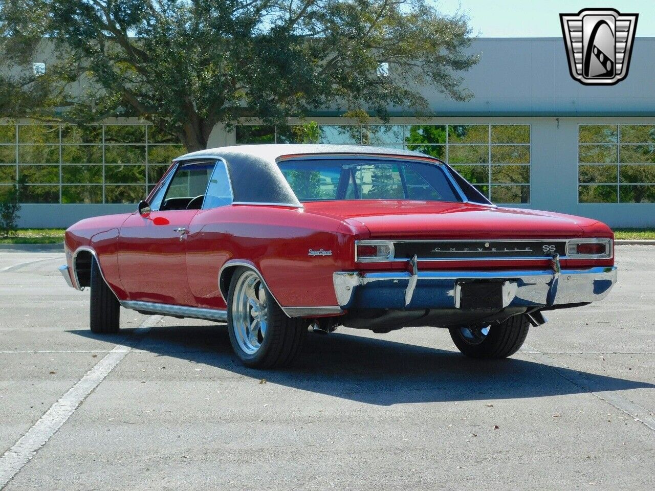 Chevrolet-Chevelle-1966-4