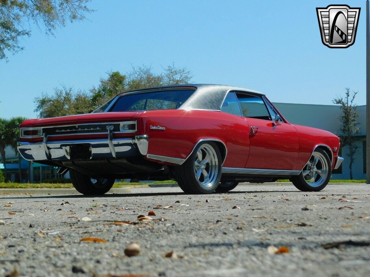 Chevrolet-Chevelle-1966-5