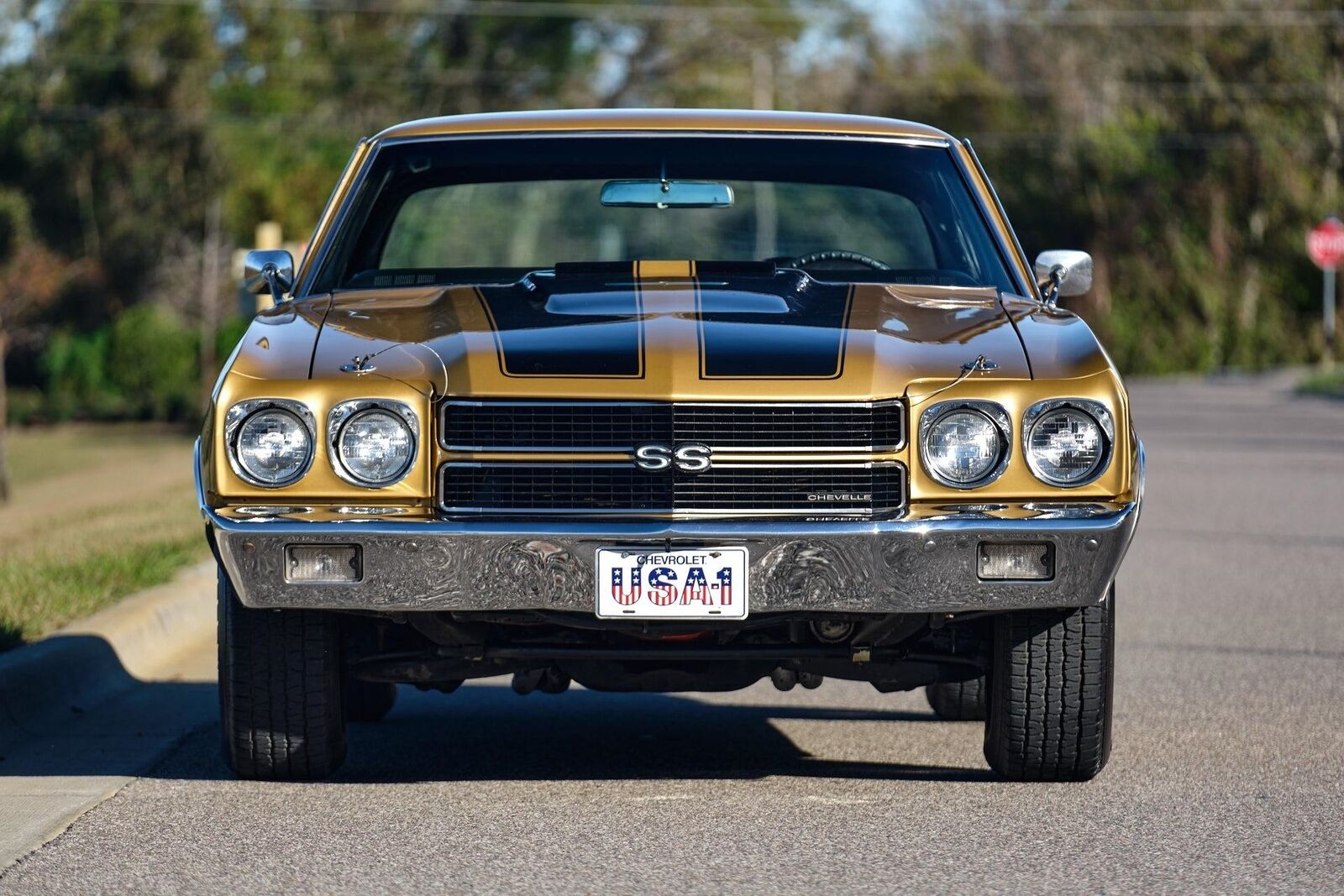 Chevrolet-Chevelle-1970-9