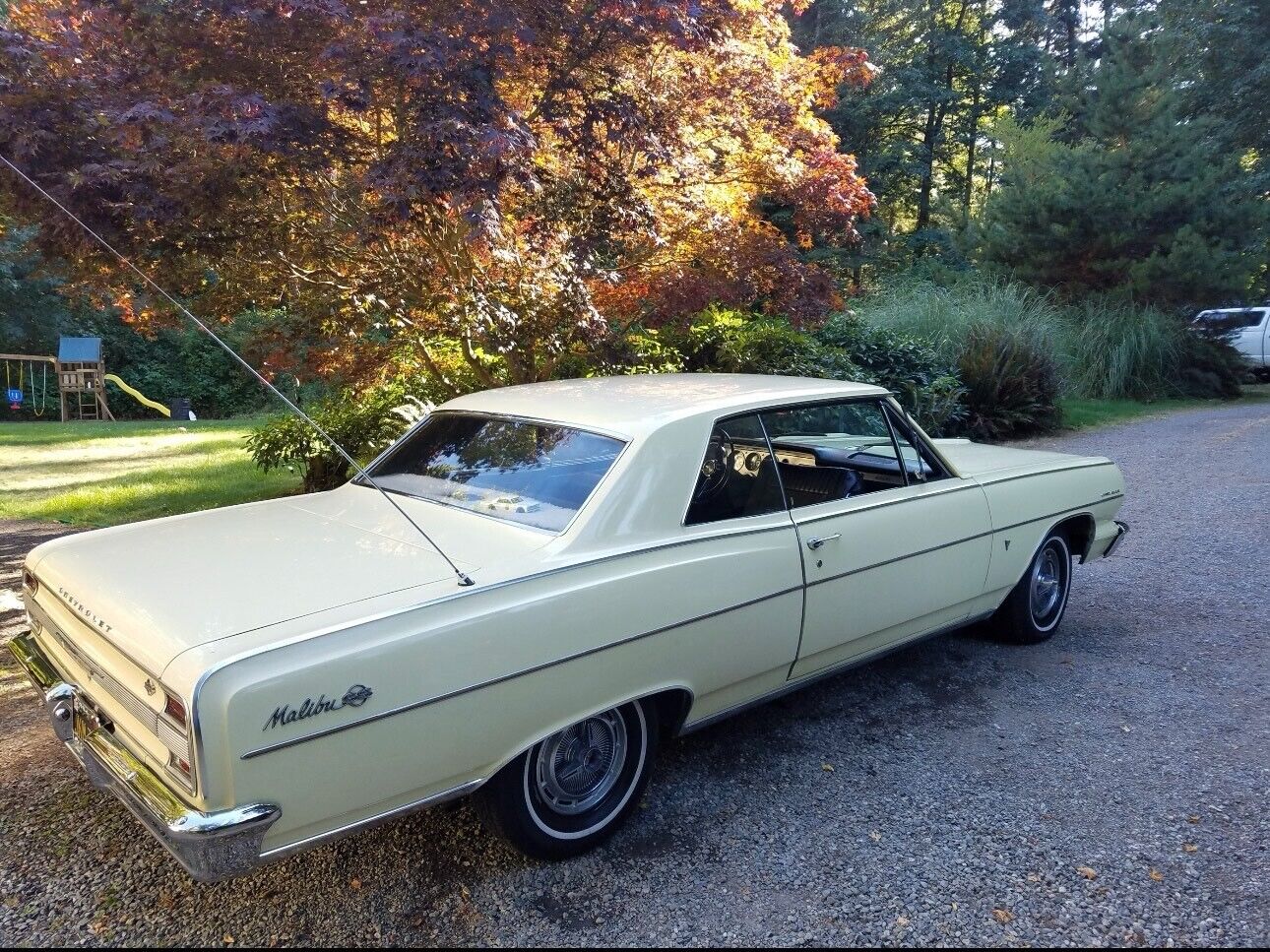 Chevrolet-Chevelle-Coupe-1964-1