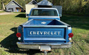 Chevrolet-Cheyenne-10-1973-3