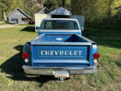 Chevrolet-Cheyenne-10-1973-3