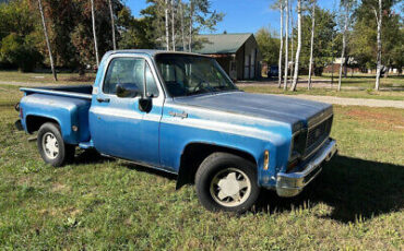 Chevrolet-Cheyenne-10-1973-6