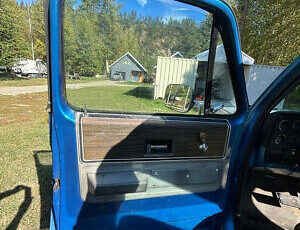 Chevrolet-Cheyenne-10-1973-7