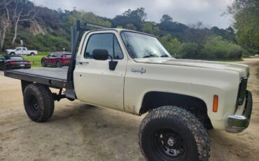 Chevrolet-Cheyenne-1974-1