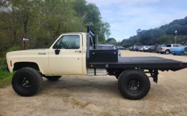 Chevrolet-Cheyenne-1974-2