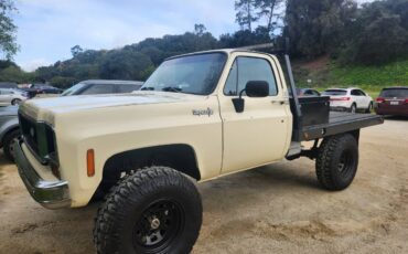 Chevrolet-Cheyenne-1974