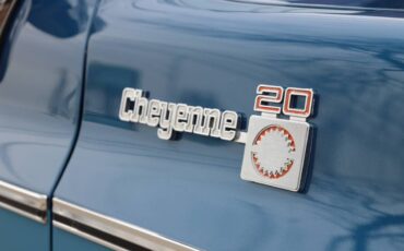 Chevrolet-Cheyenne-1980-14