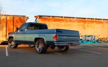 Chevrolet-Cheyenne-1980-19