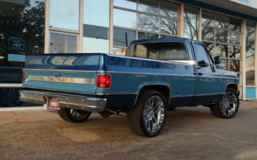 Chevrolet-Cheyenne-1980-20