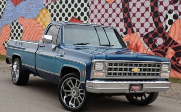 Chevrolet-Cheyenne-1980-21