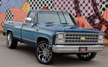 Chevrolet-Cheyenne-1980-23