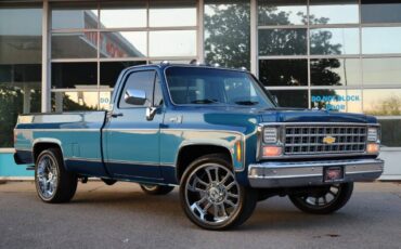 Chevrolet-Cheyenne-1980-8