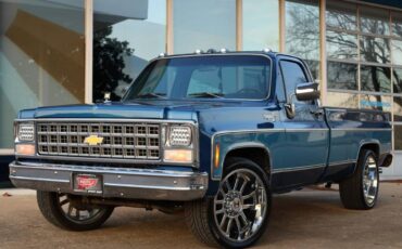 Chevrolet-Cheyenne-1980-9