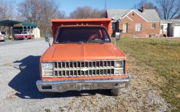 Chevrolet-Ck-pickup-1-ton-1982-1