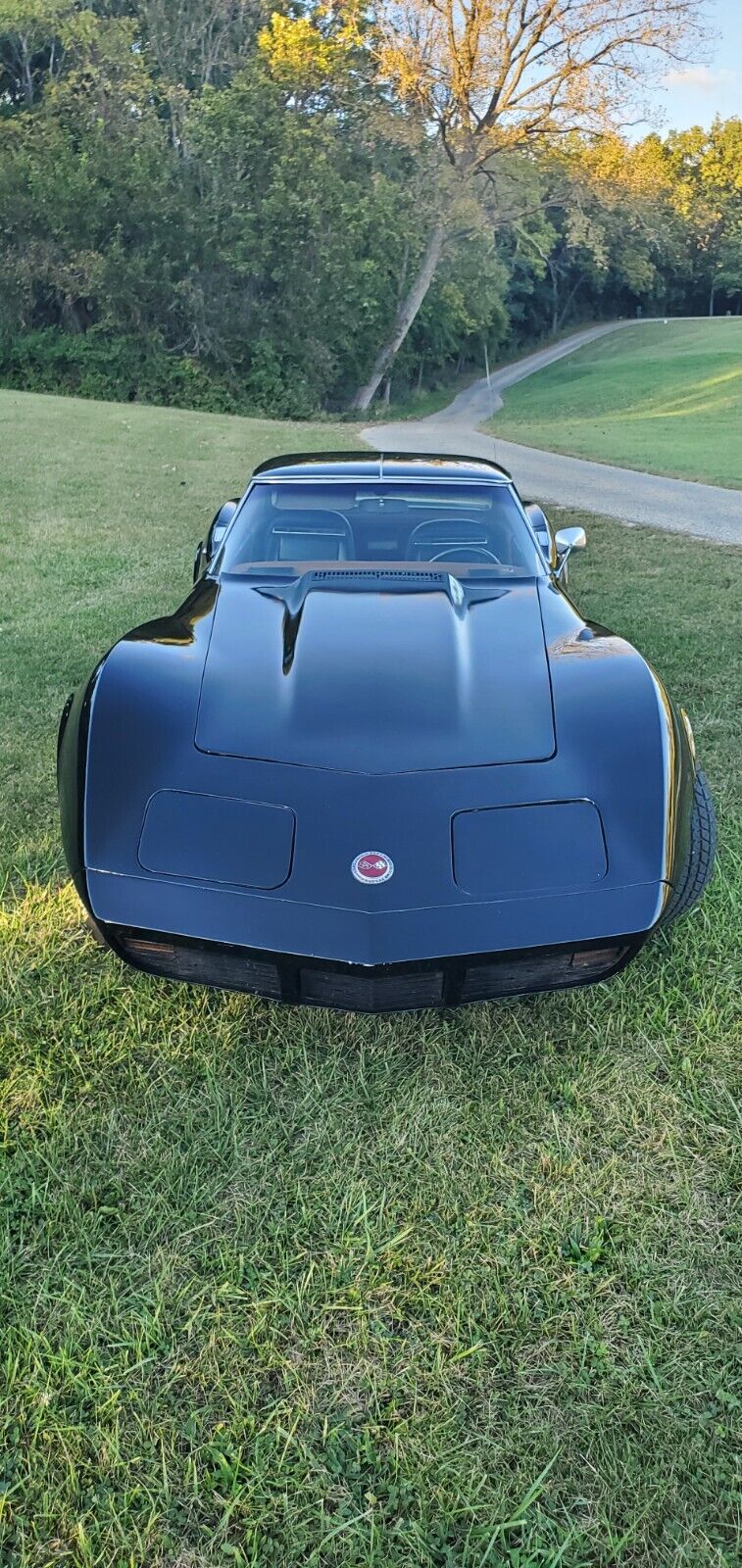 Chevrolet-Corvette-1973-12