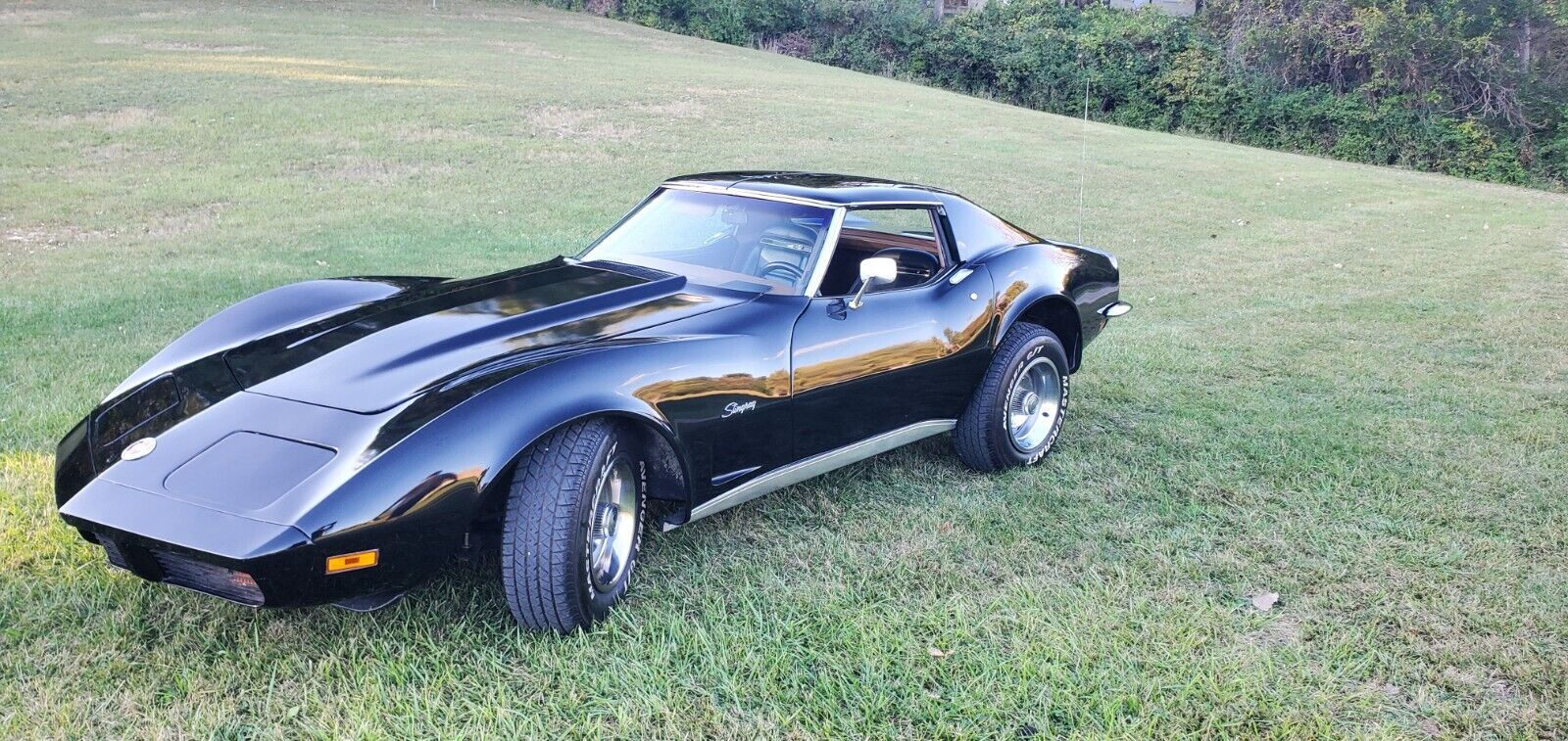 Chevrolet Corvette 1973 à vendre