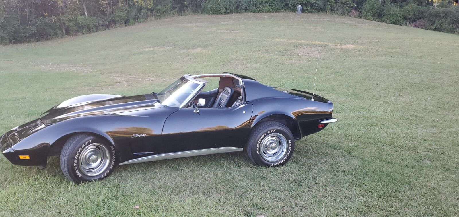 Chevrolet-Corvette-1973-6