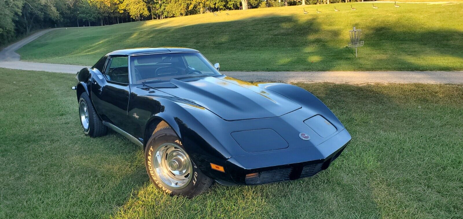 Chevrolet-Corvette-1973-7