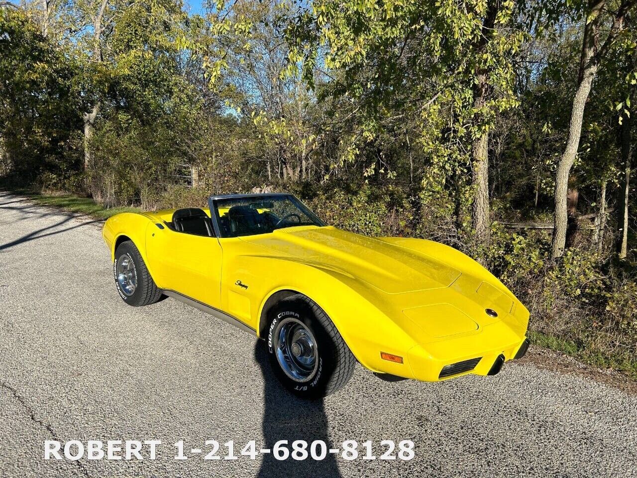 Chevrolet-Corvette-1975-1