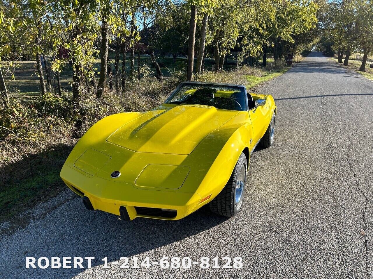 Chevrolet-Corvette-1975-18