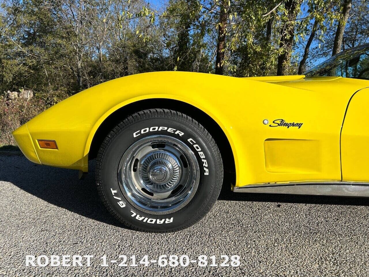 Chevrolet-Corvette-1975-19