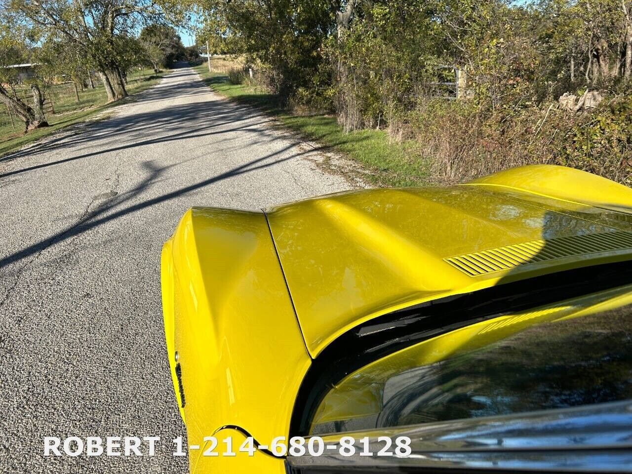 Chevrolet-Corvette-1975-21