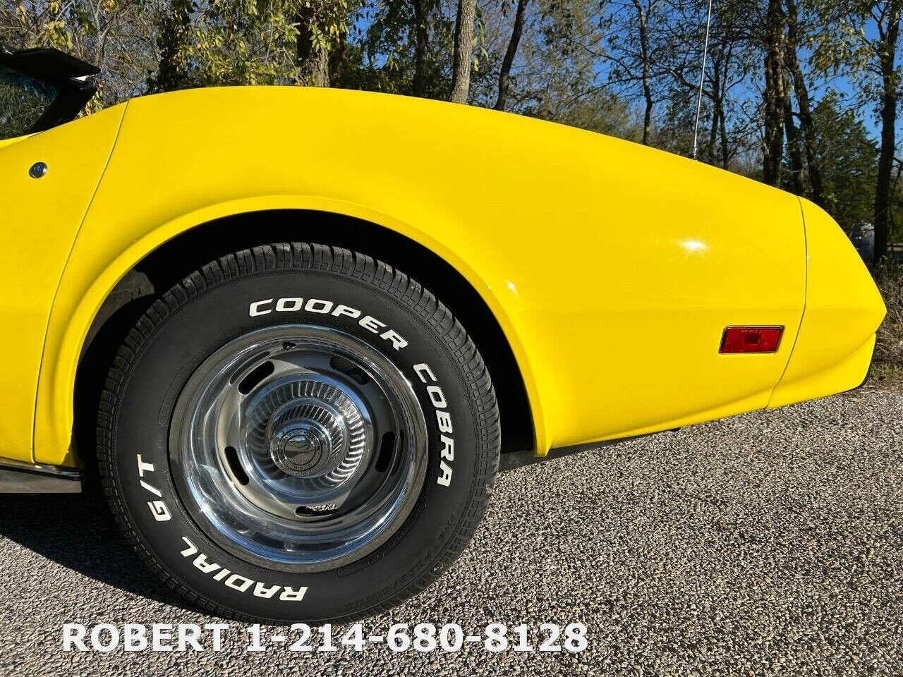 Chevrolet-Corvette-1975-25