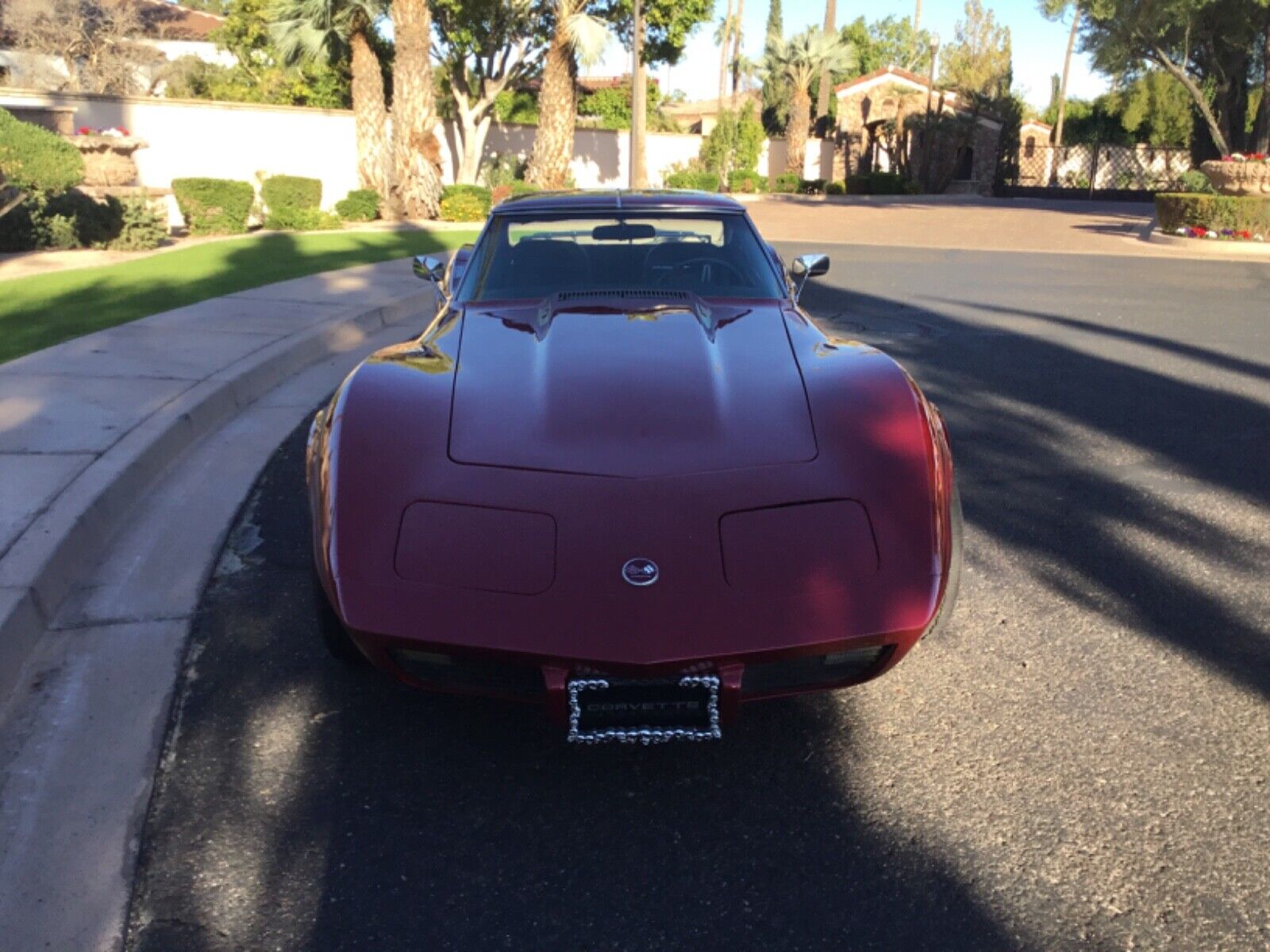 Chevrolet-Corvette-1975-3