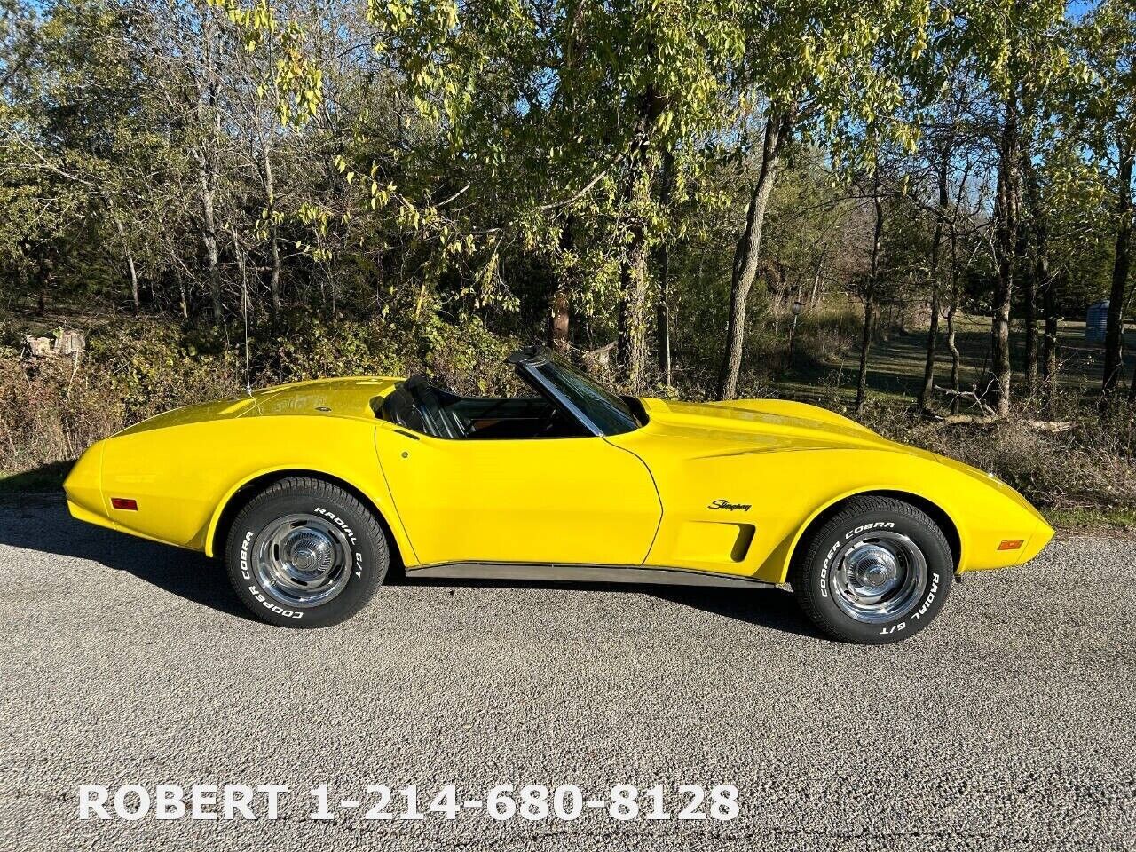 Chevrolet-Corvette-1975-3