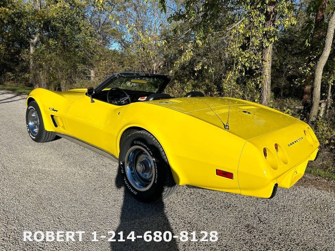 Chevrolet-Corvette-1975-33