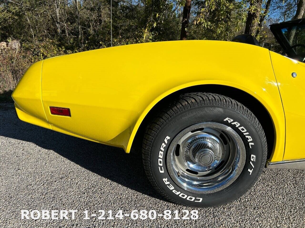 Chevrolet-Corvette-1975-35