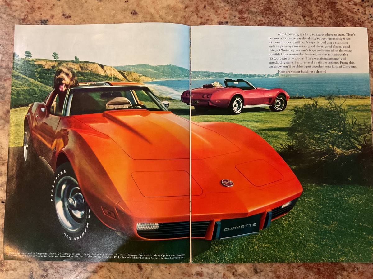 Chevrolet-Corvette-1975-6