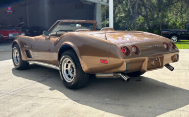 Chevrolet-Corvette-1975-7