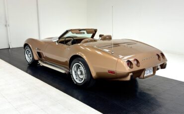 Chevrolet-Corvette-1975-7