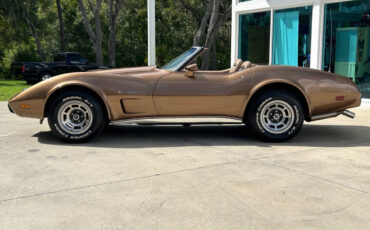 Chevrolet-Corvette-1975-8