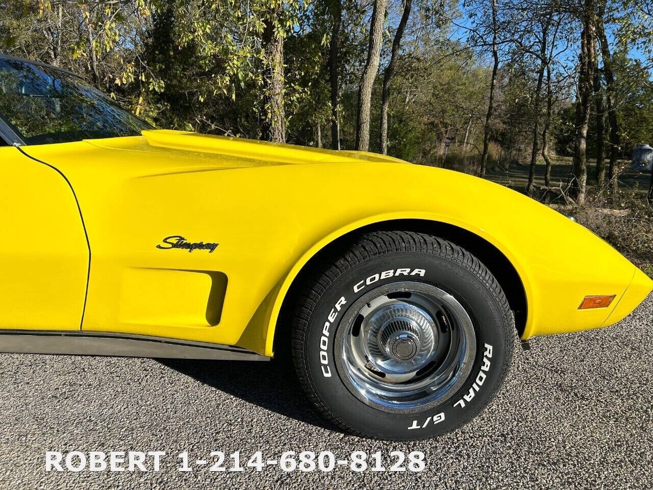 Chevrolet-Corvette-1975-9