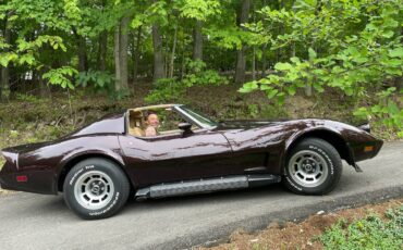 Chevrolet-Corvette-1976-1