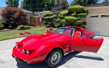 Chevrolet-Corvette-1976-11