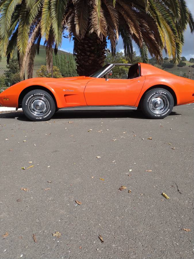 Chevrolet-Corvette-1976-2