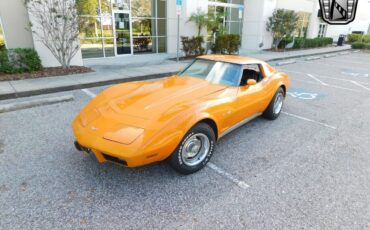 Chevrolet-Corvette-1977-10