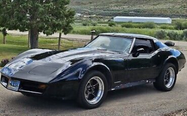 Chevrolet-Corvette-1977-2