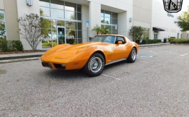 Chevrolet-Corvette-1977-2