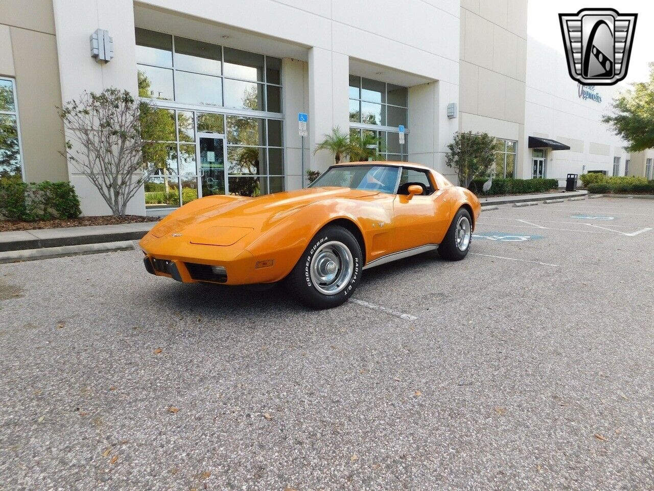 Chevrolet-Corvette-1977-2