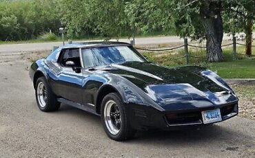 Chevrolet-Corvette-1977-3