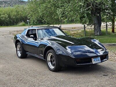 Chevrolet-Corvette-1977-3