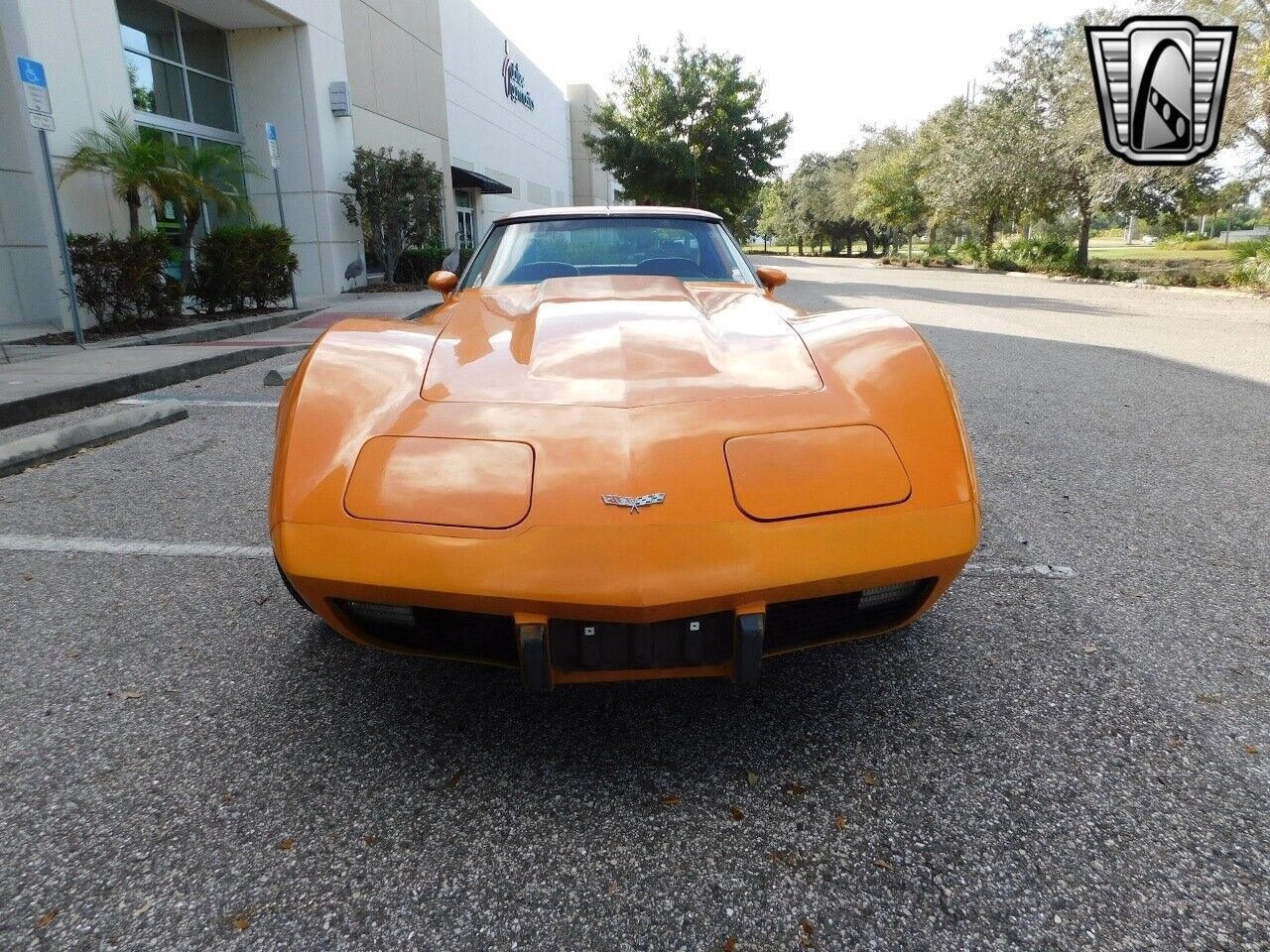 Chevrolet-Corvette-1977-3