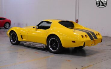 Chevrolet-Corvette-1977-3